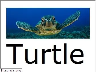 turtle-diving.de