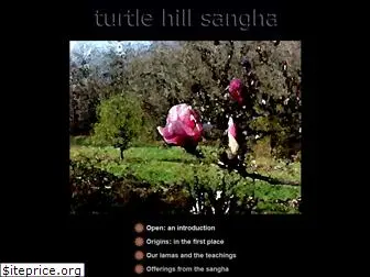 turtlehill.org