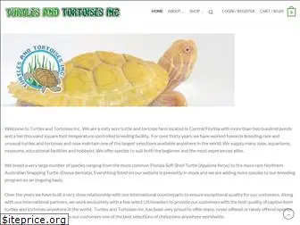 turtlesandtortoises.com