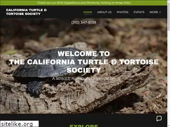turtlesociety.org