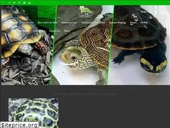 turtlestore.com