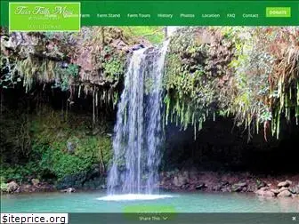 twinfallsmaui.net