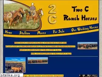 twocranchhorses.com