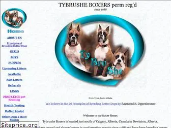 tybrushe-boxers.com