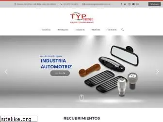 typdemexico.com.mx