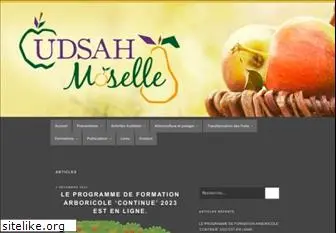 udsah-moselle.com