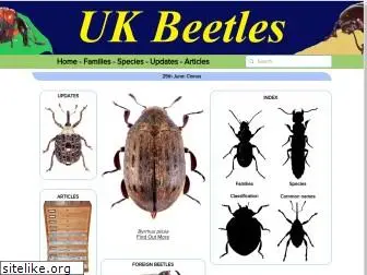 ukbeetles.co.uk