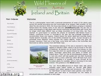 ukwildflowers.com