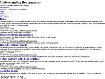 understandingbeeanatomy.com