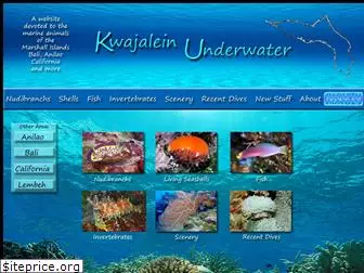underwaterkwaj.com