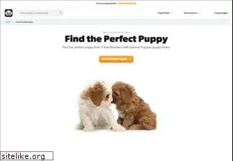 uptownpuppies.com