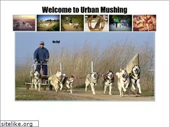 urbanmushing.com