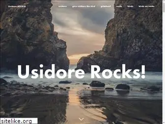 usidorerocks.com