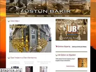 ustunbakir.com
