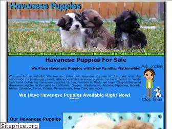 utahhavanesepuppies.com