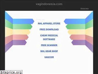 vagindonesia.com