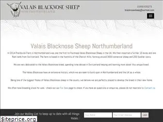 valaisblacknose-sheep.co.uk
