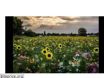 vandijkezaden.nl