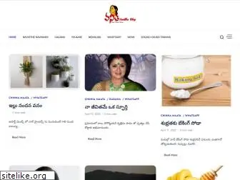 vanithavani.com