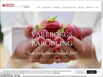 vareborg.se