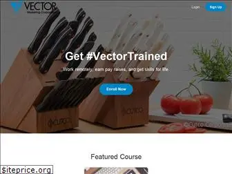 vectorvirtual.com