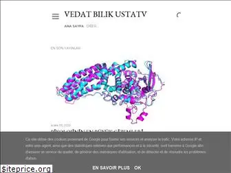 vedatbilik.com
