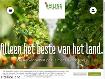 veilingzaltbommel.nl