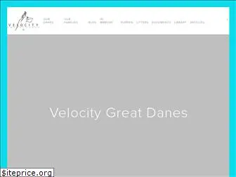 velocitygreatdanes.com
