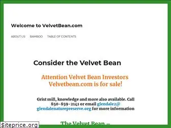 velvetbean.com