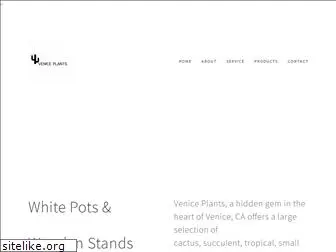 veniceplants.squarespace.com