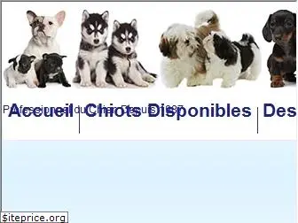 vente-chiots.com