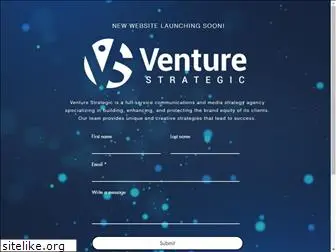 venturestrategic.com