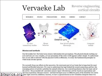 vervaeke-lab.org