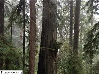 verylargeandtallredwoods.com