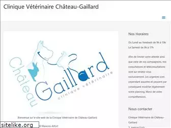 veterinairechateaugaillard.com