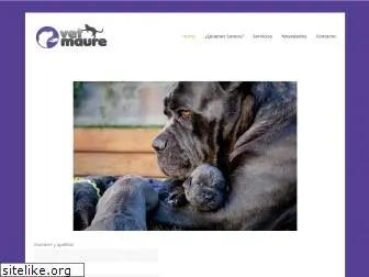veterinariamaure.com