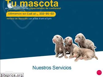 veterinariavillasdeguadalupe.com