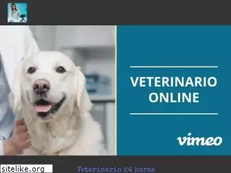 veterinario24horas.net