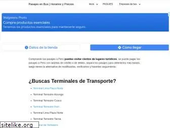 viajeenbus.com