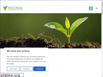 vicinialtd.com