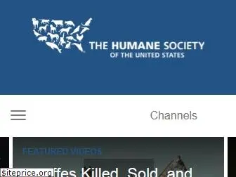 video.humanesociety.org