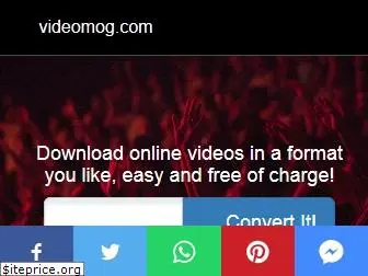 videomog.com