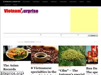 vietnamsurprise.com