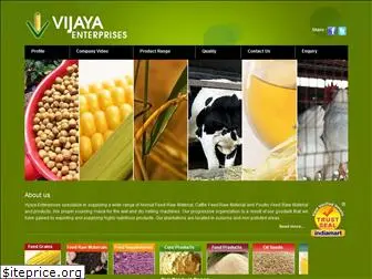 vijayaent.com