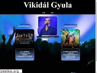 vikidal.com