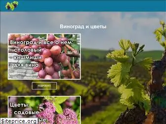 vinograd-loza.com