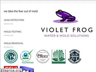 violetfrog.com