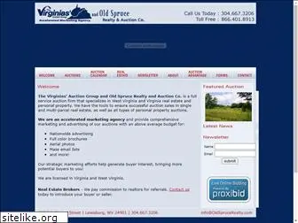 virginiasauctiongroup.com
