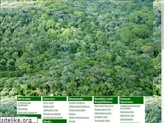 virtual-rainforest.org