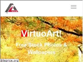 virtuoart.com